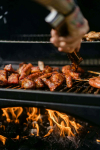 Pełna obsługa grilla ,grill Catering ,event plenerowy jak i piknik Mokotów - zdjęcie 6