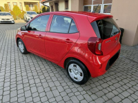Kia Picanto 1,0 67KM  klimatyzacja  1Właściciel  Koła lato + zima Orzech - zdjęcie 10