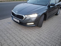 *Skoda*Octavia*Salon PL*2,0 TDI*Ambition*Virtual*Led*Kamera* Grunwald - zdjęcie 6