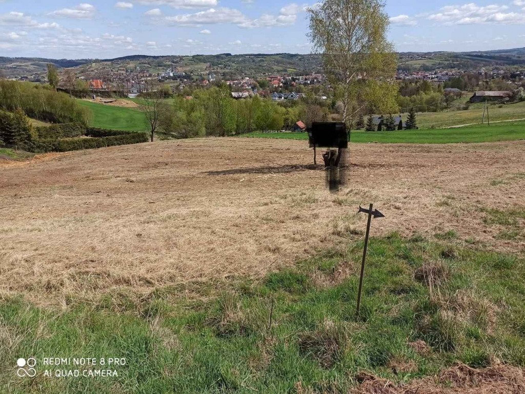 Działka rolno-budowlana (5600m2) ul. Leśna MEDIA (Tuchów) Tuchów - zdjęcie 2