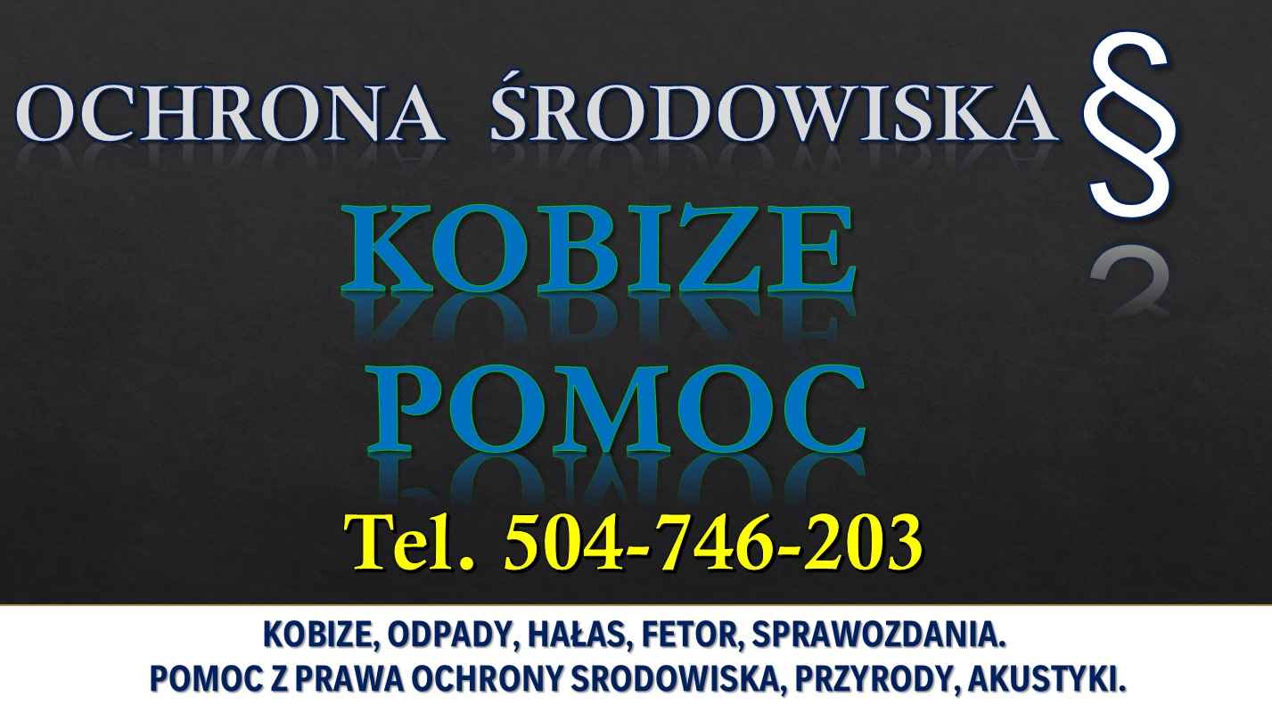 Raport do Kobize, t.502-032-782, raportowanie, wykonanie raportu, cena Psie Pole - zdjęcie 6