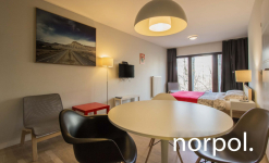 Przytulne studio na Kijowskiej Kraków - zdjęcie 4