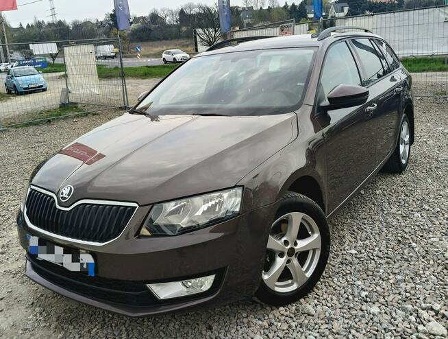 Škoda Octavia TDi*4x4*Niski przebiegm Bibice - zdjęcie 3
