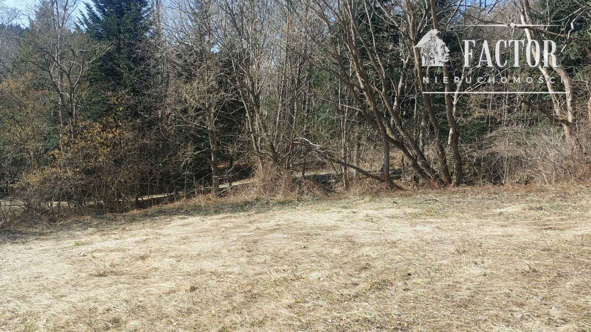 Działka budowlano-rolna 18,46 ara – Bieśnik, gm. Łużna, 1184S/2026 Bieśnik - zdjęcie 7