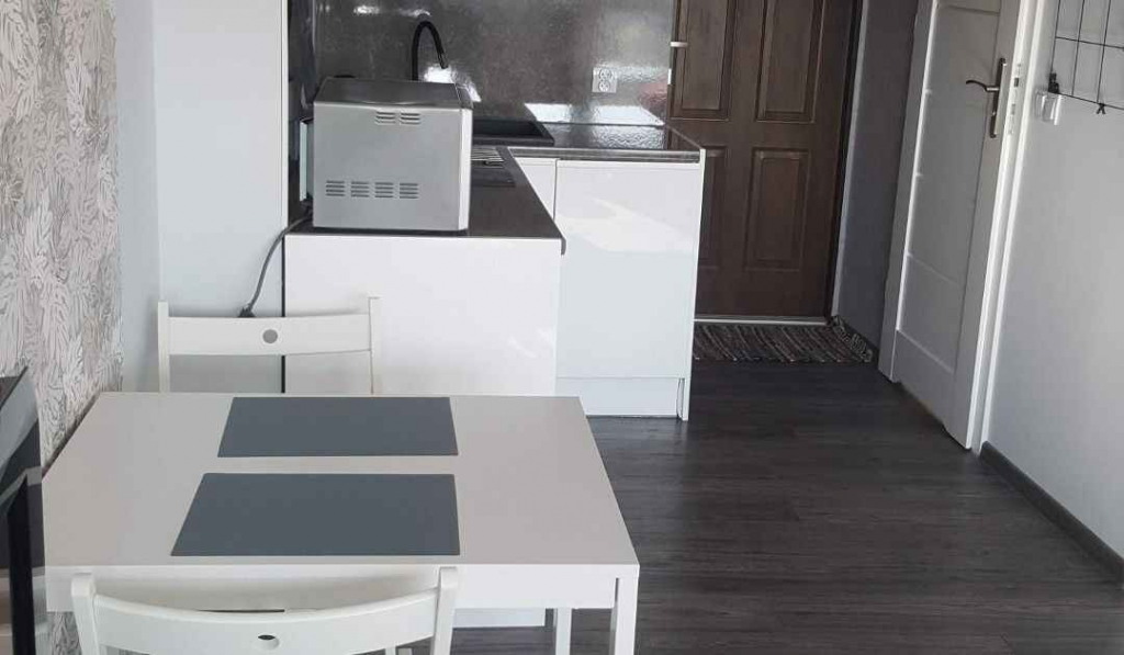 1pok, 27met, Okolice Świebodzkiej PO REMONCIE/WINDA (Wrocław) Stare Miasto - zdjęcie 3