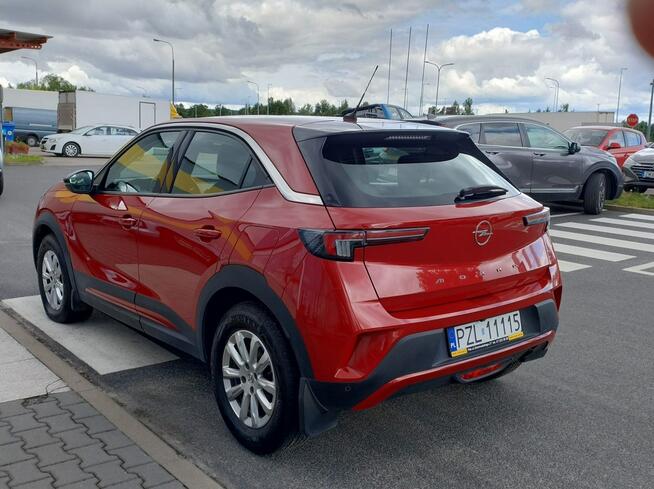 Salonowy, Bezwypadkowy, Bardzo zadbany i w ASO OPEL serwisowany Piła - zdjęcie 5