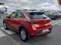 Salonowy, Bezwypadkowy, Bardzo zadbany i w ASO OPEL serwisowany Piła - zdjęcie 5