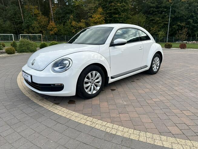 Volkswagen Beetle Lipówki - zdjęcie 4