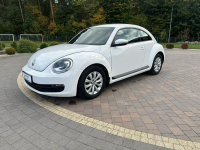 Volkswagen Beetle Lipówki - zdjęcie 4