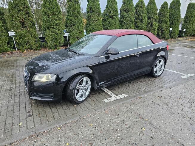 Audi A3 cabrio NIESPOTYKANY ! Włocławek - zdjęcie 5