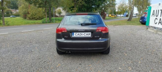 Audi A3 Super stan, pełna dokumentacja. Goczałkowice-Zdrój - zdjęcie 5