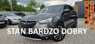 Opel Grandland X Jeden Właściciel Super Stan Bezwypadkowy