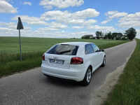 audi a3 1.6tdi/ 2011rok Zambrów - zdjęcie 5