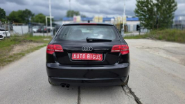 Audi A3 Climatronic   super stan nowy rozrząd Lębork - zdjęcie 7