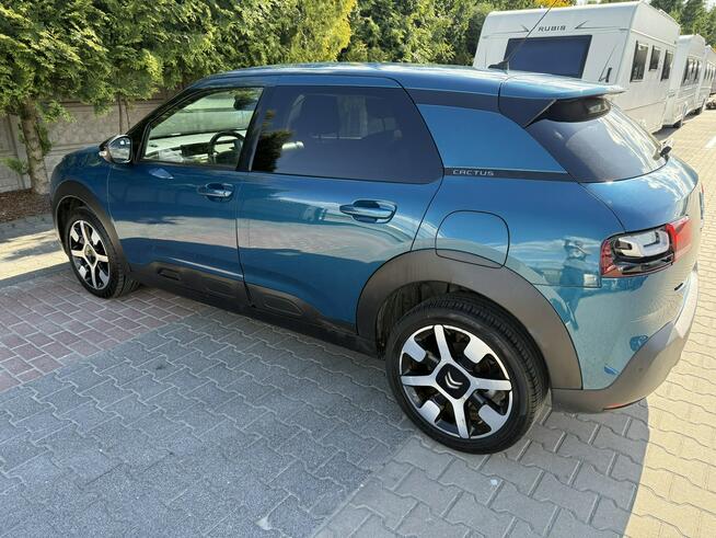Citroen C4 Cactus Zielona Łąka - zdjęcie 6