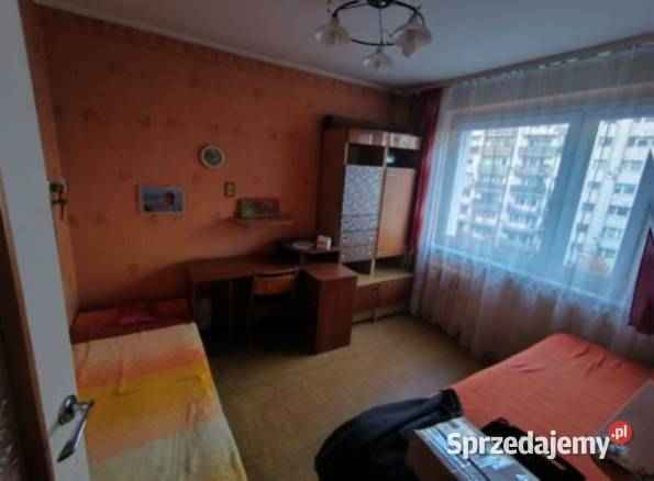 Syndyk sprzeda 1/8 udziału - Mieszkanie Sepno - zdjęcie 2