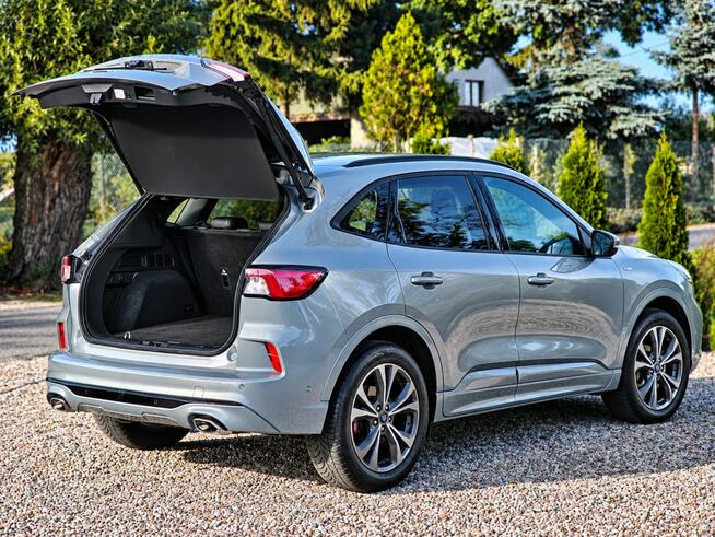 Ford Kuga Sadlno - zdjęcie 10