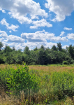 Działka budowlana Grabówka 1228m2 Grabówka - zdjęcie 8