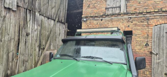 Sprzedam Perzyny - zdjęcie 12