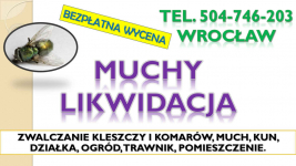 Likwidacja much dezynfekcja, t. 504-746-203, Wrocław. Zwalczanie muchy Psie Pole - zdjęcie 2