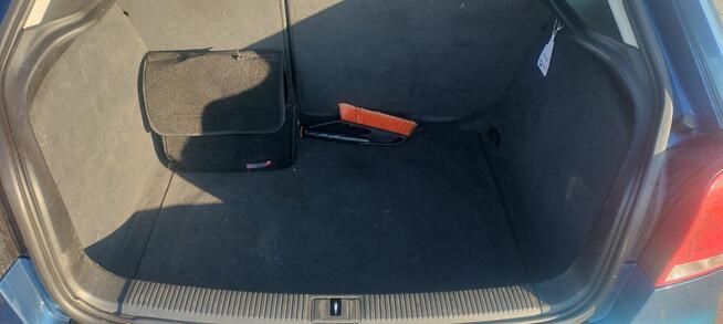 Audi A3 8p 1.9 TDI Psie Pole - zdjęcie 1