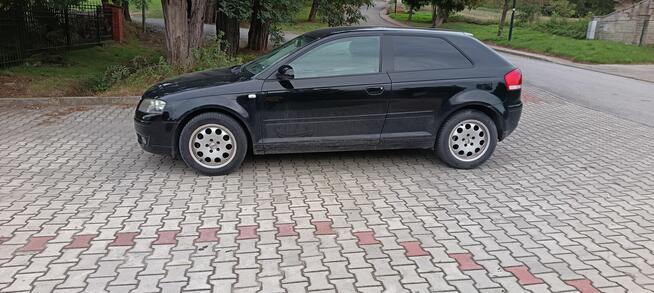 Audi A3 8P Pęchów - zdjęcie 2