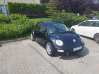 VW Beetle Tuchola - zdjęcie 2