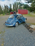 Volkswagen Beetle Kiczyce - zdjęcie 3