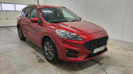 Ford Kuga 2.5 FHEV FWD ST-Line X Grójec - zdjęcie 3