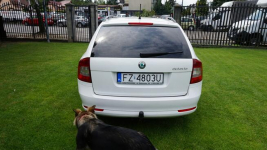 Škoda Octavia zarejestrowany, ubezpieczony. Gwarancja. Polecam !!! Zielona Góra - zdjęcie 6