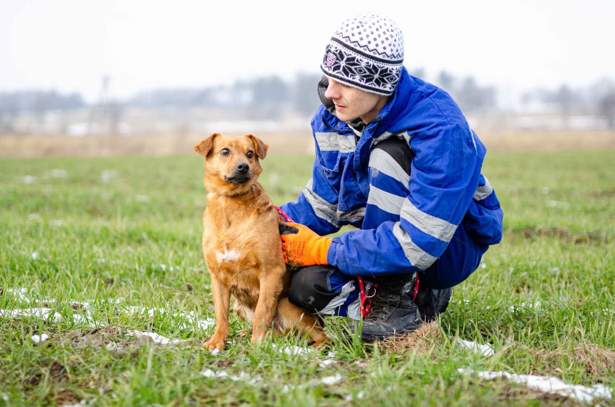 Rożek - prawdziwy diament do pokochania! Olsztyn - zdjęcie 2