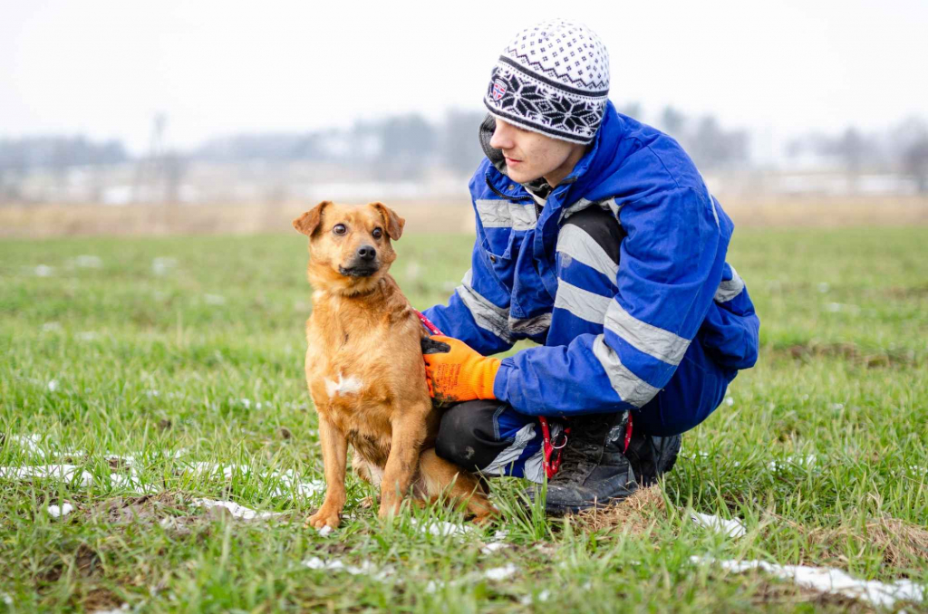 Rożek - prawdziwy diament do pokochania! Olsztyn - zdjęcie 2