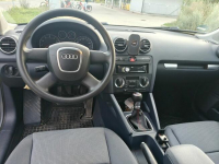 Audi A3 8P 1.6 MPI Gdańsk - zdjęcie 5