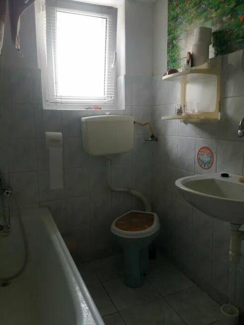 Cactus Przed zakupem sprawdz go w garażu samoobsługowym Kraków - zdjęcie 10