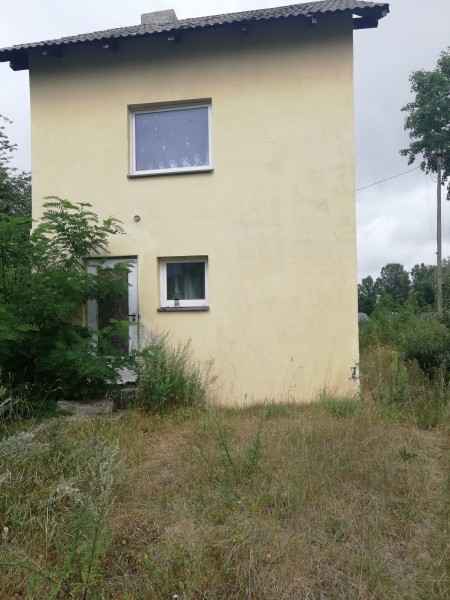 Prawie za darmo Osiny - zdjęcie 1