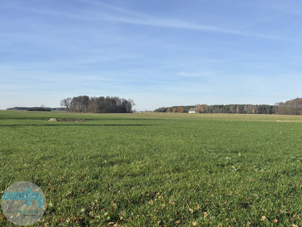 7,4 ha ziemi - idealne pod siedlisko, agroturystykę, stadninę Jaskółowo - zdjęcie 6