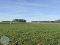 7,4 ha ziemi - idealne pod siedlisko, agroturystykę, stadninę Jaskółowo - zdjęcie 6