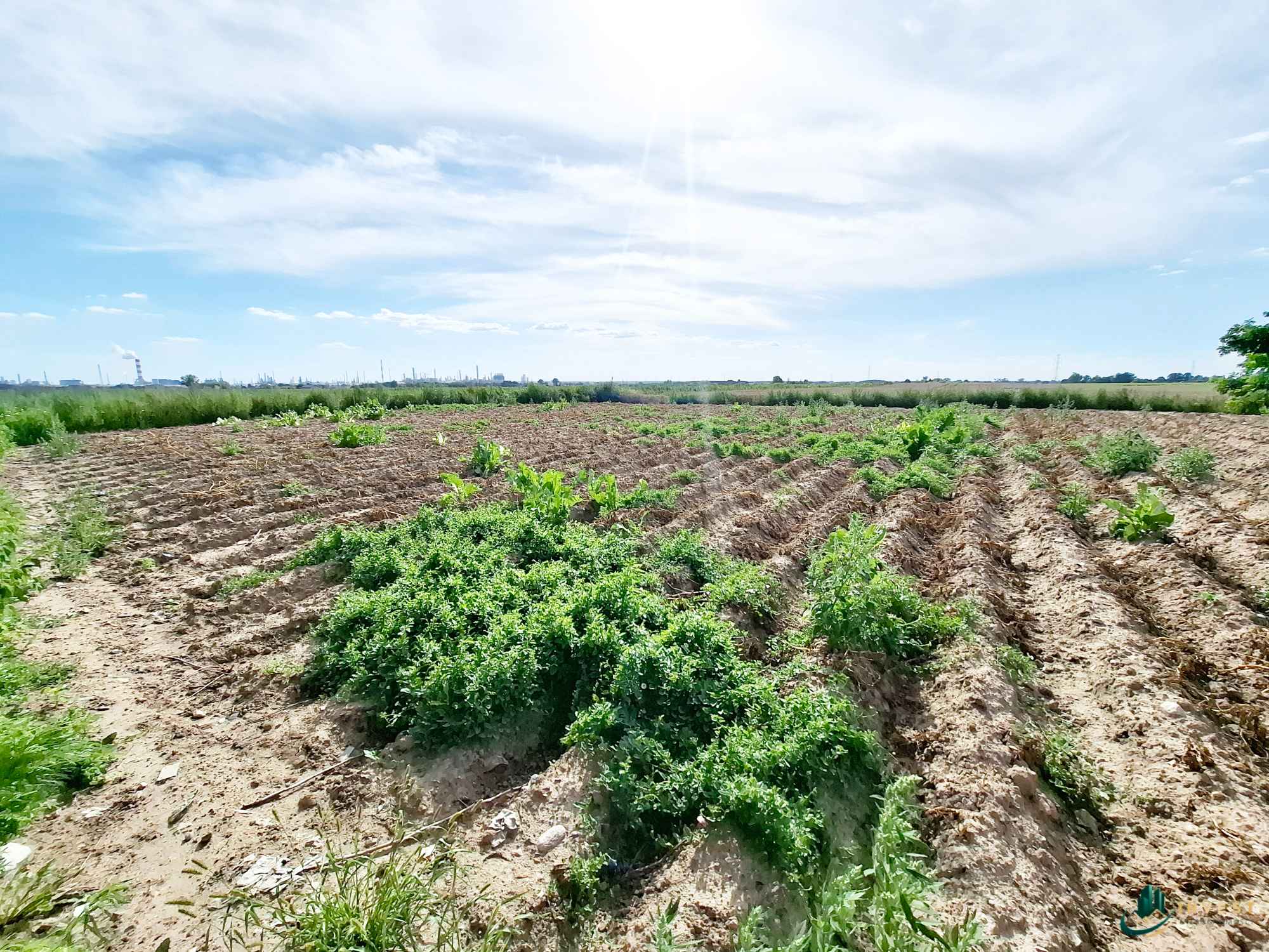 DZIAŁKA BUDOWLANA POD ZABUDOWĘ JEDNORODZINNĄ Bronowo Kmiece - zdjęcie 6