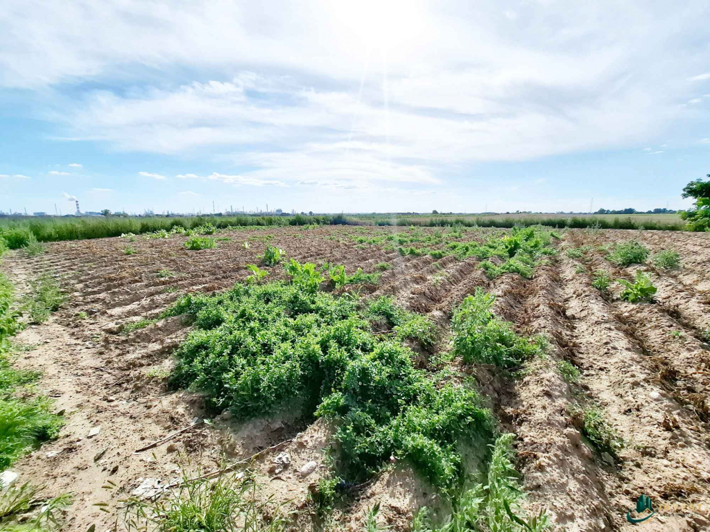 DZIAŁKA BUDOWLANA POD ZABUDOWĘ JEDNORODZINNĄ Bronowo Kmiece - zdjęcie 6