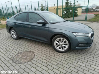 Skoda Octavia 2.0 TDI Ambition Płock - zdjęcie 3