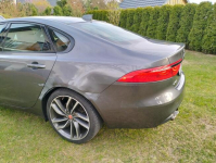 Jaguar Xf 2.D 2016r Radom - zdjęcie 8