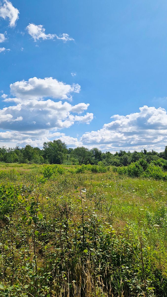 Działka budowlana Grabówka 1228m2 Grabówka - zdjęcie 5