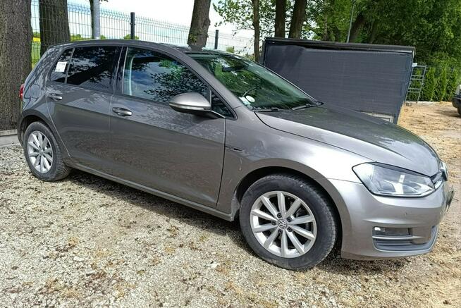 Volkswagen Golf 1.6 Tdi Pleszew - zdjęcie 2