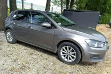 Volkswagen Golf 1.6 Tdi Pleszew - zdjęcie 2