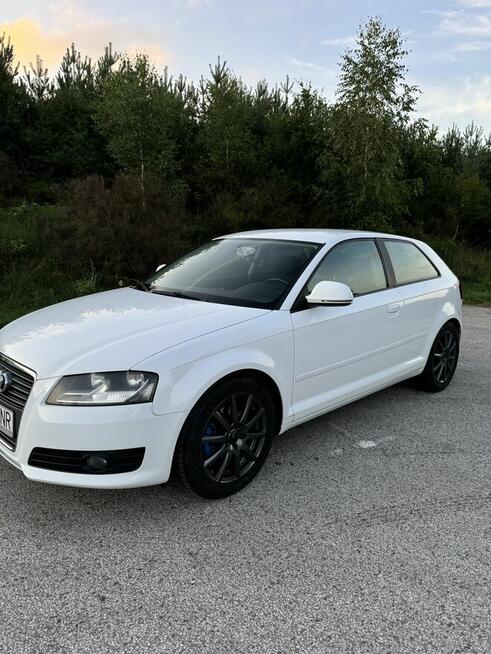 Audi A3 2.0 TDI DPF Ambition Cekcyn - zdjęcie 2