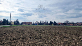 Działka siedliskowa 3000m2 z MPZP gm. Kąty Wrocławskie Kąty Wrocławskie - zdjęcie 3