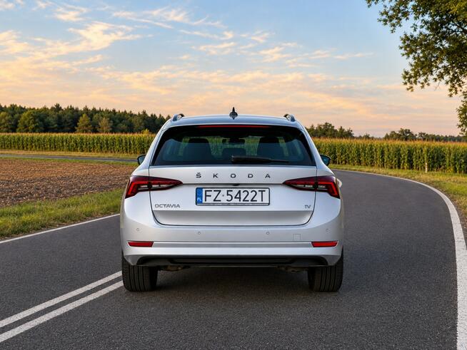 Skoda Octavia 1.4 hybryda plug-in 204 km salon PL FV Słupca - zdjęcie 12