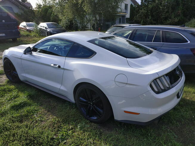 Syndyk sprzeda Ford Mustang Wrocław - zdjęcie 1