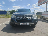 Mercedes ML 350 Lipówki - zdjęcie 5