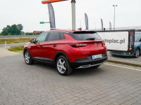 Opel Grandland X Lipówki - zdjęcie 10